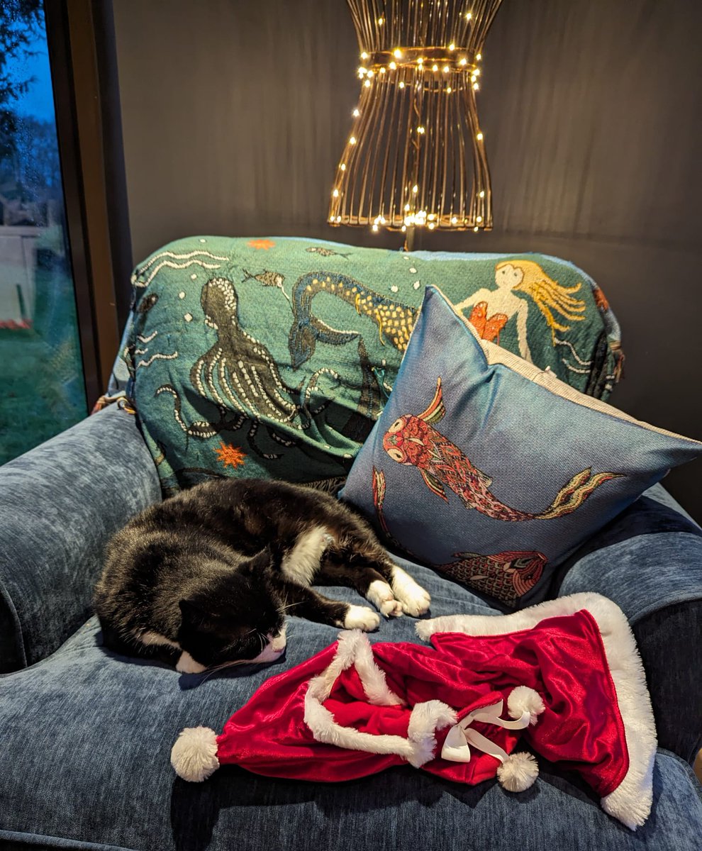 DiploMog's tweet image. I love Christmas but sometimes it's exhausting, so good to get out my ridiculous outfit, back to fur, and have a well earned rest. Wishing you all a happy and relaxing Christmas! 🎅🐾
