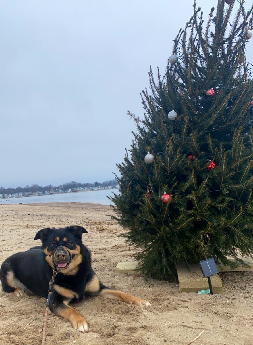 Ms. Doolan tweet media