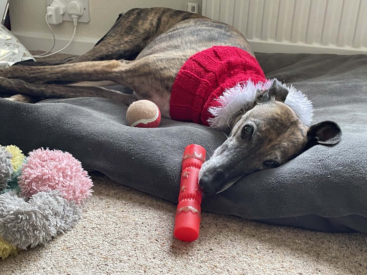 I might have a Christmas cracker and a Christmas ball but don’t expect me to move if it’s not food