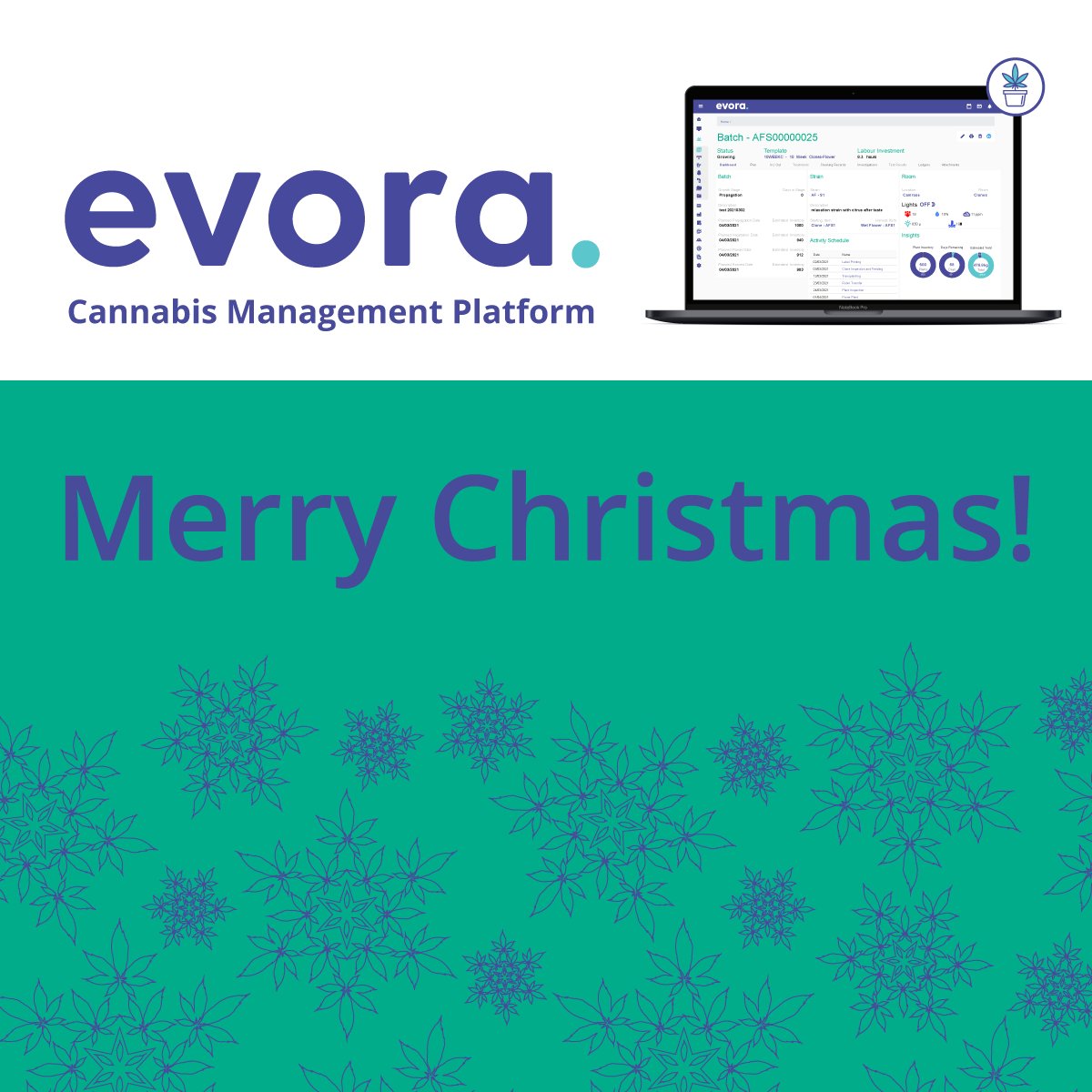 EVORA_Tech_01's tweet image. 🎄✨ Happy Holidaze from the team at Evora! 🌿🎅

Wishing you a Merry Christmas filled with joy, laughter, and good vibes! 🎁🍃 

💚 From our buds to yours, have a high-spirited and festive celebration! 🎉🌿 

#MerryChristmas 🌟🎄