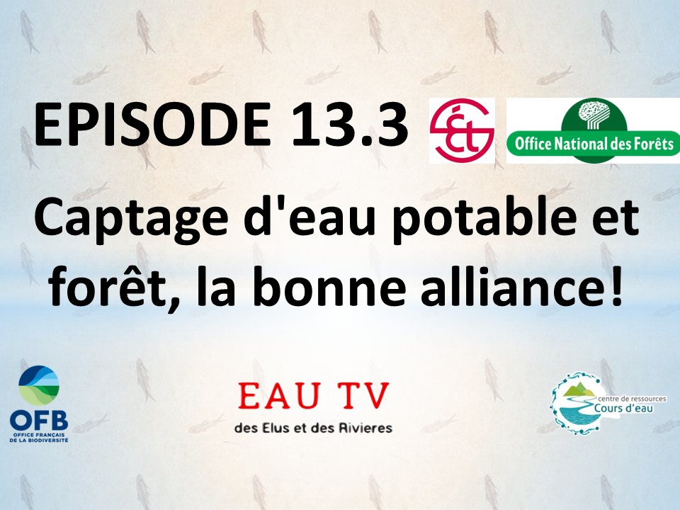 EautvEluRiviere's tweet photo. #webinaire le 23 janvier 2024 (17h30-19h) « #captage d'#eau potable et #foret, la bonne alliance!.» Venez partager l'expérience de l'@ONF_Officiel sur le LIFE Eau et Forêt et @saint_etienne_ qui gère plus de 700 ha de captages en foret en direct sur https://t.co/h5R5PMbkZw https://t.co/qi4tXfVziX