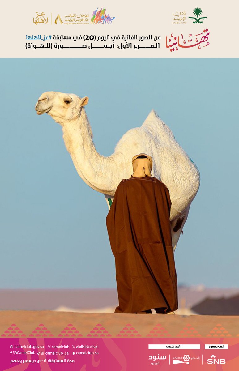 فعاليات نادي الإبل tweet media