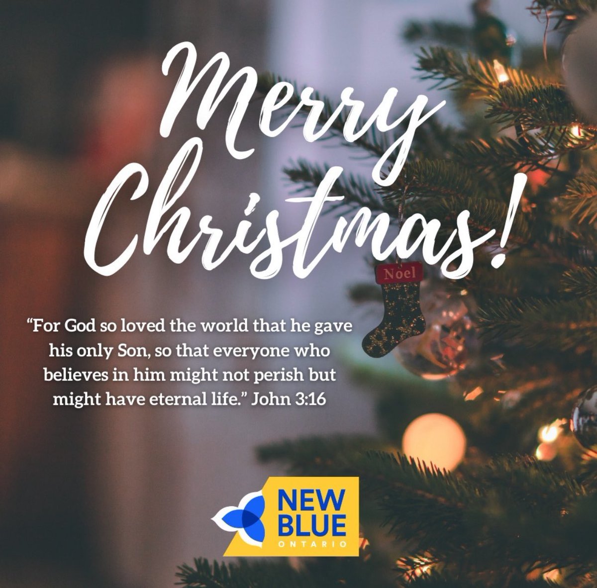 NBWindsorWest's tweet photo. Merry Christmas from the New Blue Party of Ontario Windsor West EDA!
 
#onpoli #Christmas2023 #Christmas #MerryChristmas https://t.co/Ii6CkhRJjt