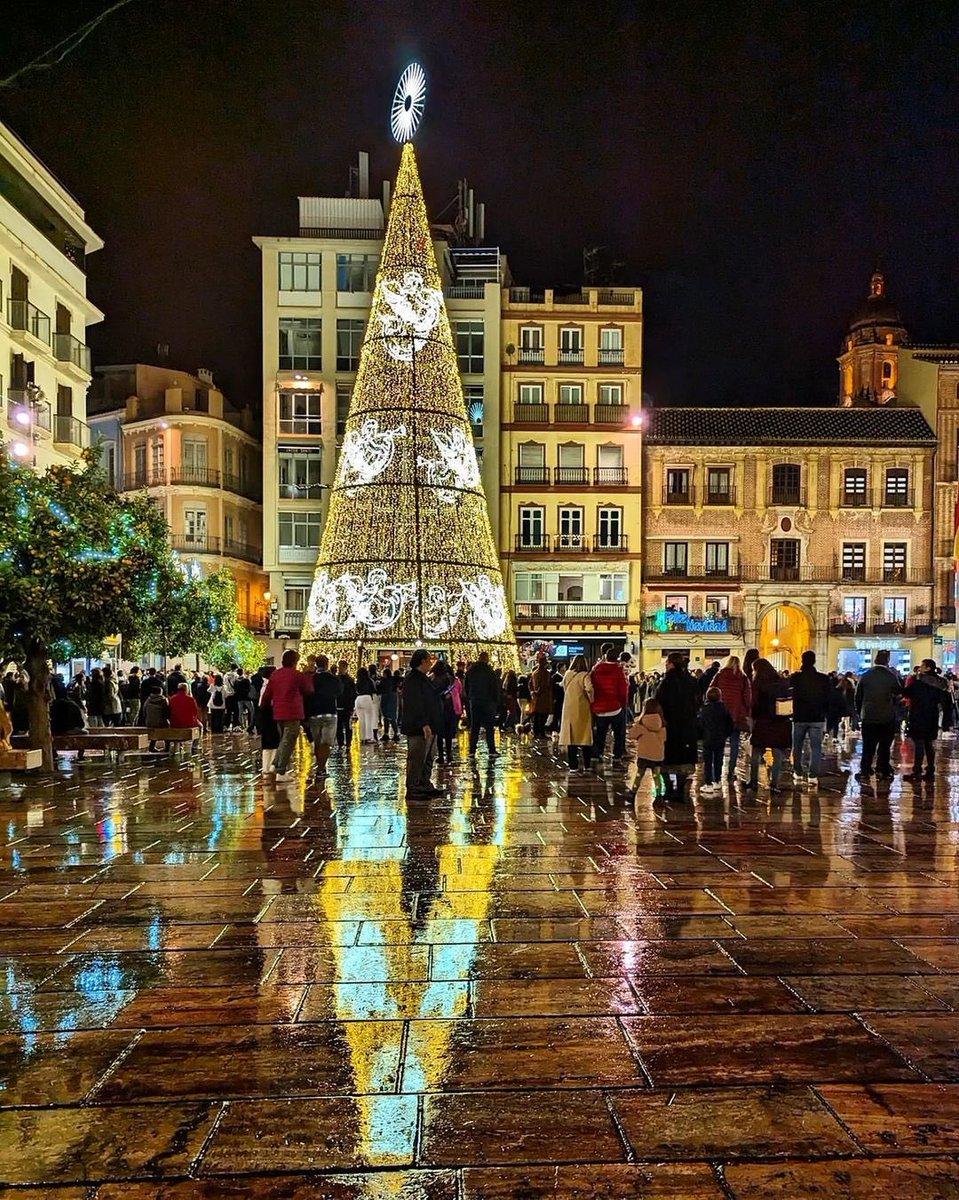 Terra Scenes tweet media