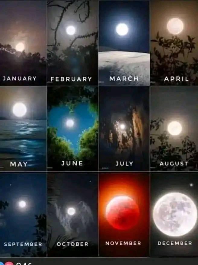 priestess_Aliya's tweet photo. Put your birth month  down and I'll tell you something about your relationship future and past life, relationship, career #blackandwhite #photography #blackandwhitephotography #art #photooftheday #portrait #love #photo #awakening #bringmyex #cheatingbf #castspell #Dunki #charity https://t.co/peWKQ1XWT3