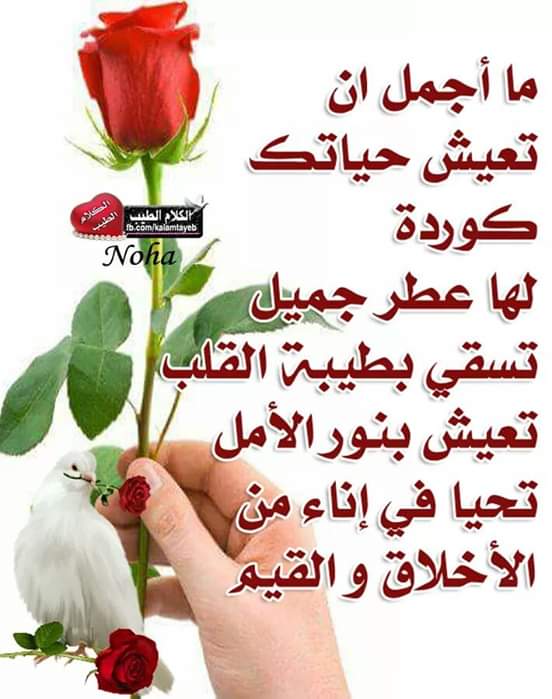 حلمي المطري 967733329149+ (@hlmyalmtry) on Twitter photo 