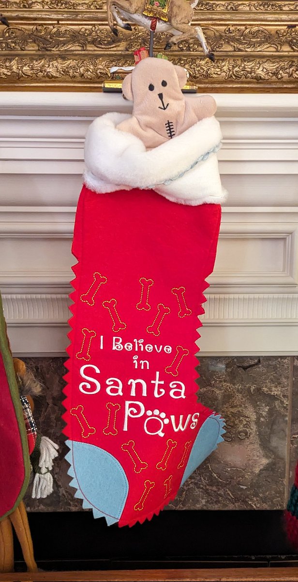 I believe in Santa Paws.