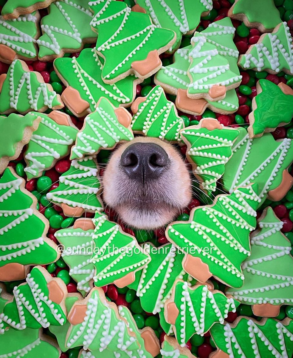 OSingier's tweet image. Merry Christmas to all those who celebrate!