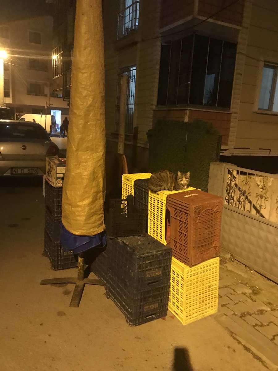 Körfez belediyesi pazar pazarı hala toplanmamış Mahalle içersinde