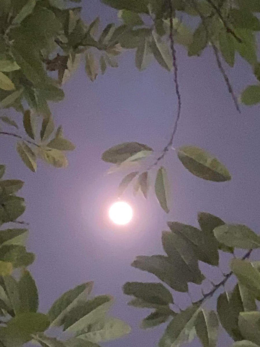 ☽˚｡･ﾟDecember's cold Waxing Gibbous Moon ☽˚｡･ﾟ✧:･.:

#WaxingGibbousMoon #moonphases #coldmoon #lunarphases