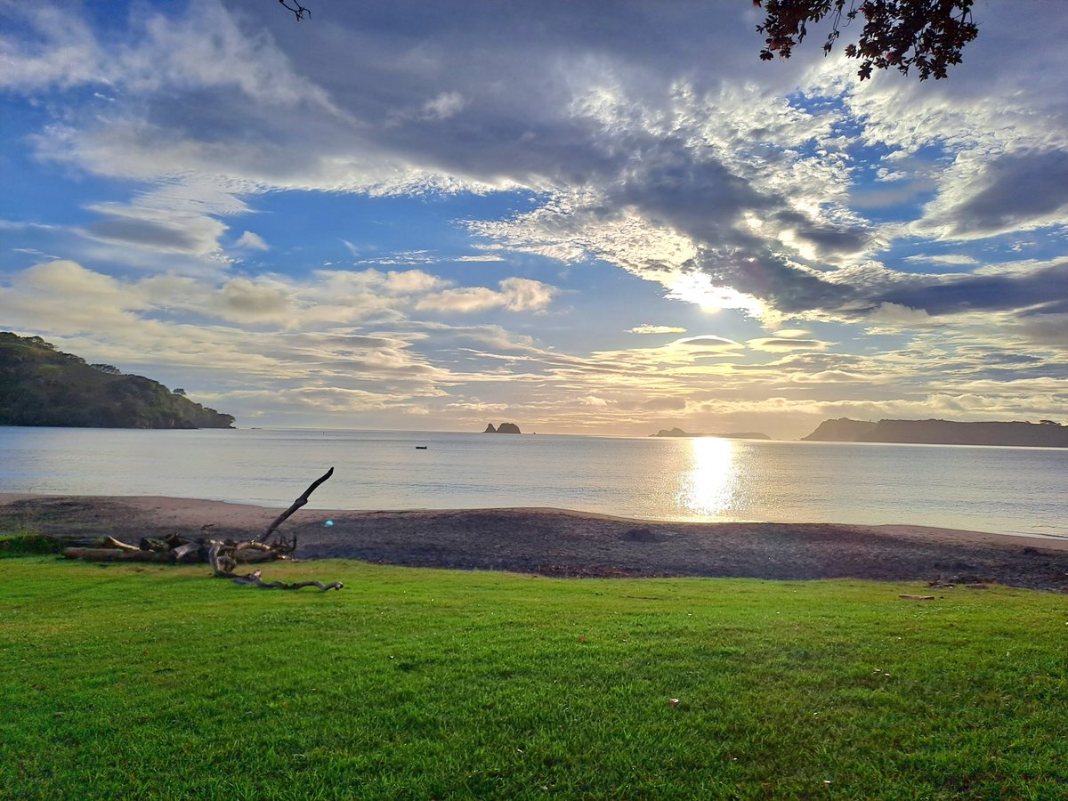 Nick Schanschieff tweet media