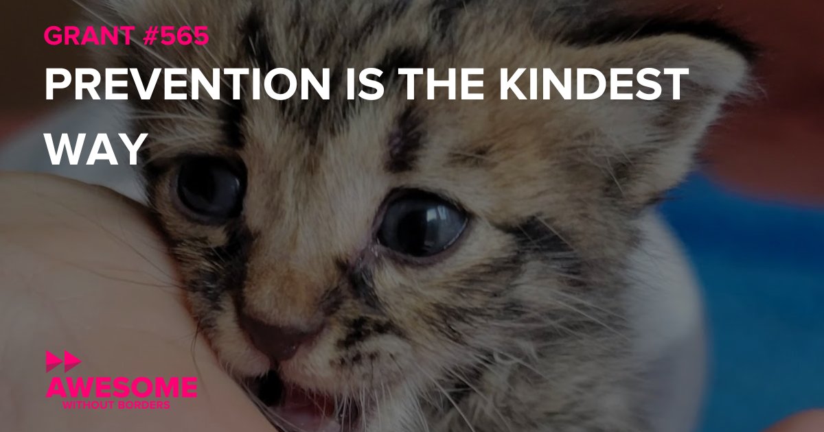 Awesome w/o Borders tweet media