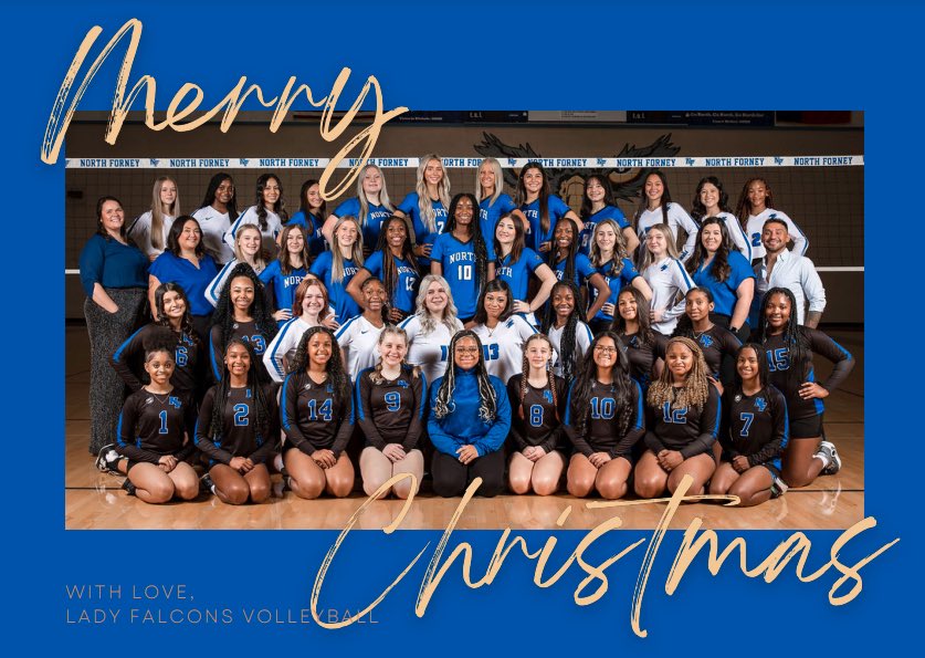 Lady Falcon Volleyball tweet media