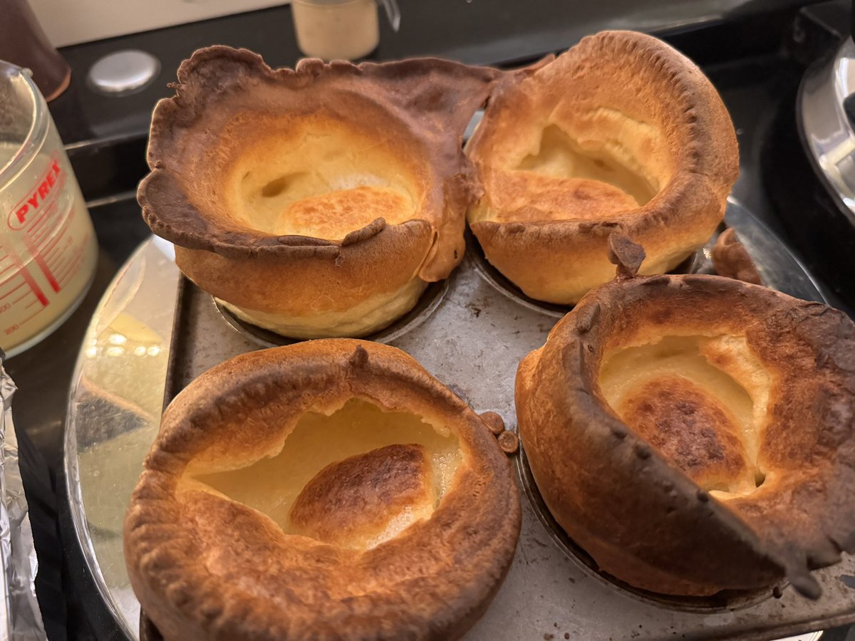 Fantastic Christmas yorkies! ❤️🥰❤️