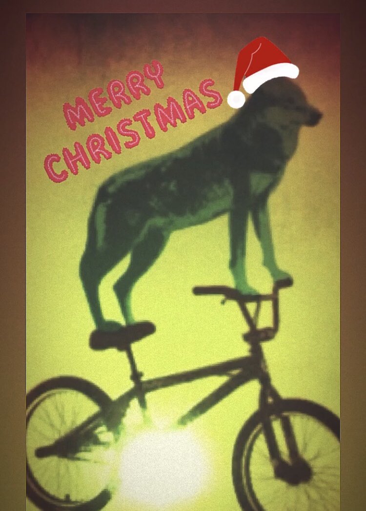 Reignwolf tweet media