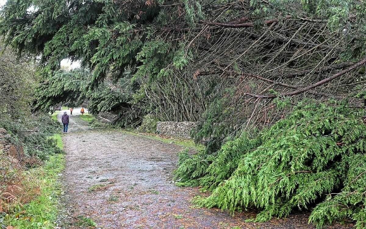 Tempête Ciaran en Bretagne : « Certaines personnes ont pu développer des réactions post-traumatiques » ➡️ go.letelegramme.fr/Emy2