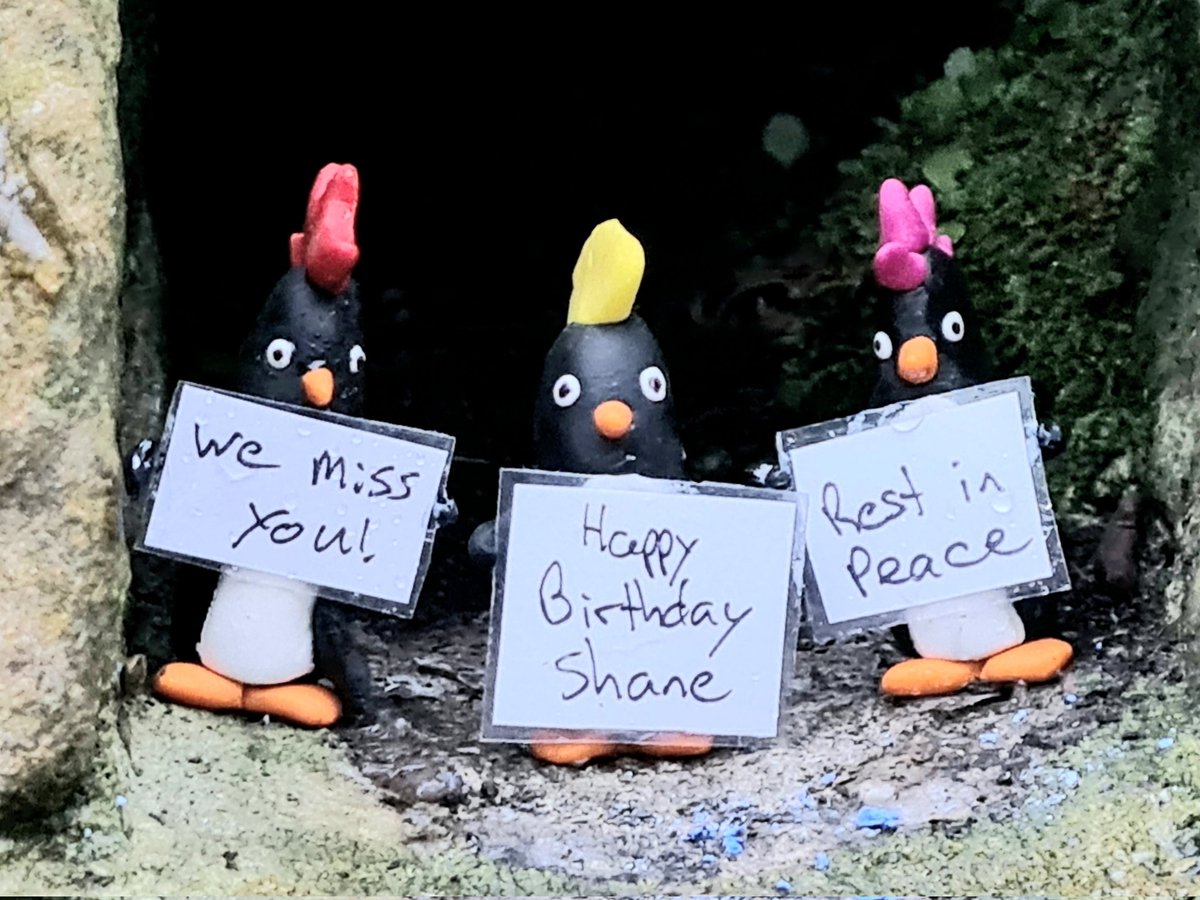 On what would have been his 66th Birthday, the punks next door have been paying homage to one of their (and my) favourite singers, Shane MacGowan of the Pogues who died recently.

#ShaneMacGowan #fairytaleofnewyork #punk #punkpenguins