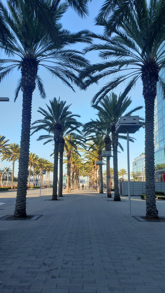 PaulGuch's tweet image. It&apos;s confirmed, life is better with 🌴🌴🌴
#visitsandiego 
@visitsandiego