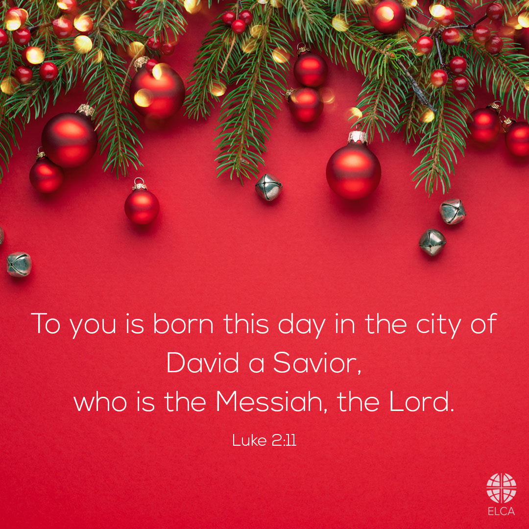 “Do not be afraid; for see—I am bringing you good news of great joy for all the people: to you is born this day in the city of David a Savior, who is the Messiah, the Lord.” (Luke 2:9-11).