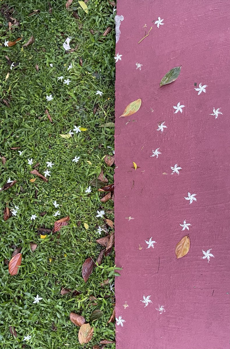 Visa is doing marketing consults (see pinned!) tweet media