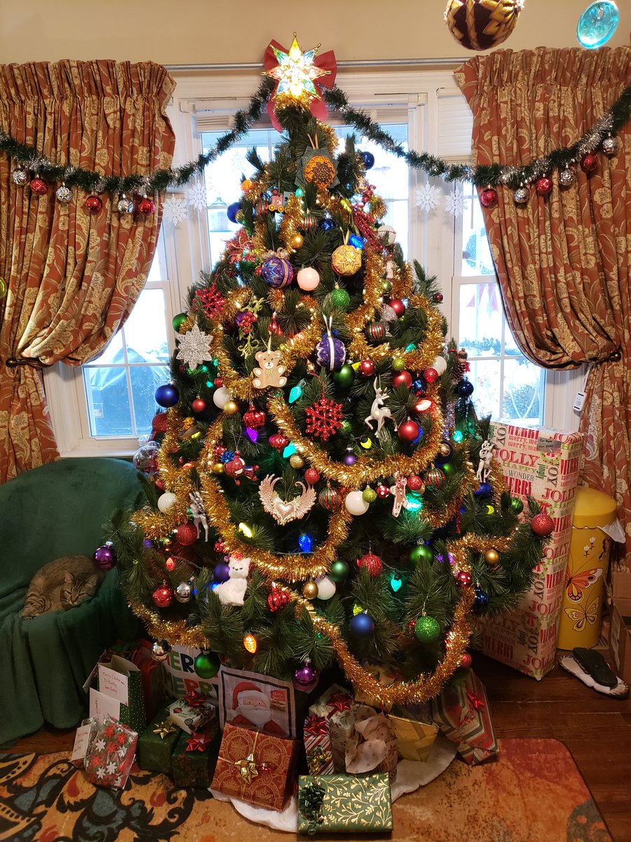 eilonewy's tweet photo. Haha! X'DDDDD..🎄🎄🎄🎄🎄🎄
When I'm decorating the tree there's always a point when it feels like the chaos is too much... but I know if I just keep going it'll start to look right... like... everything belongs if everything is here! 😁😁😁💖💖💖🌟🌟🌟🌟 https://t.co/Z51n1lPIRH