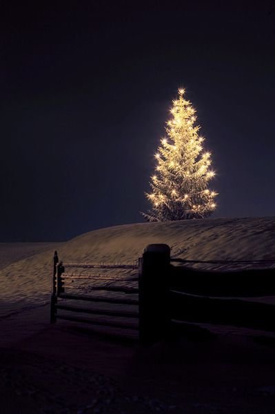 Dos cuentos navideños para los lectores fieles y generosos. Felicidades en estas fechas.

“Nochebuenas”: bit.ly/3hWT74q.

“Noel”: bit.ly/3Wng2VL.