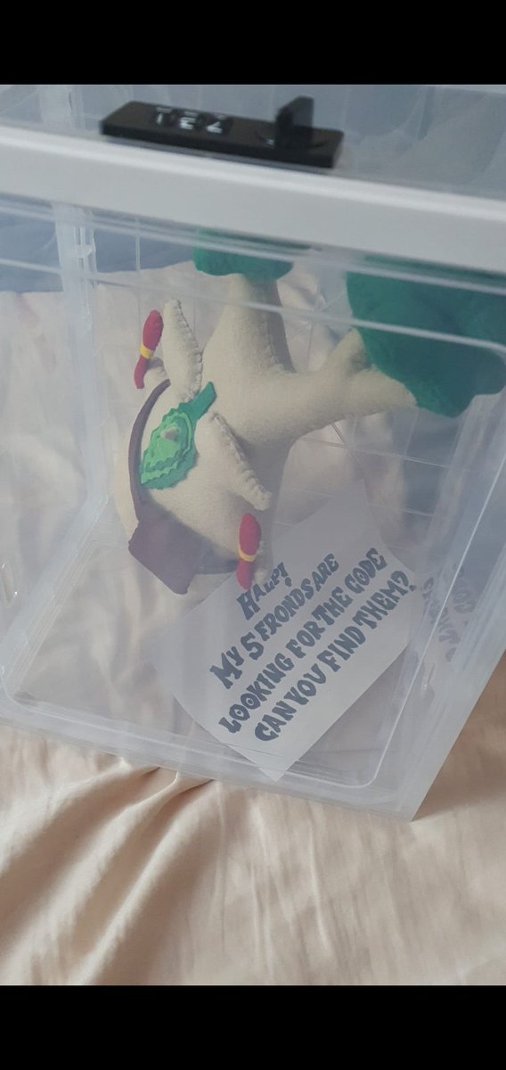KatieInGameRec's tweet photo. My boyfriend peaked with a #korok treasure hunt to find the pin to free #hestu! 
#ZeldaTearsOfTheKingdom #Christmas https://t.co/uJBMMVdDpc