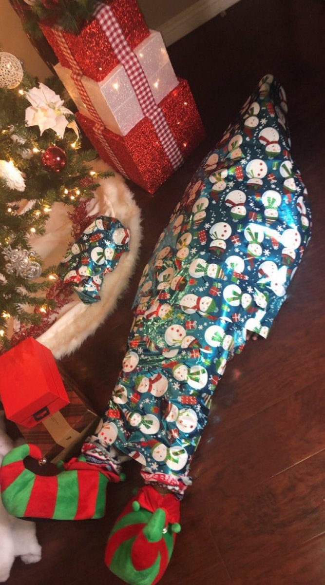 Omg será Karol Sevilla???