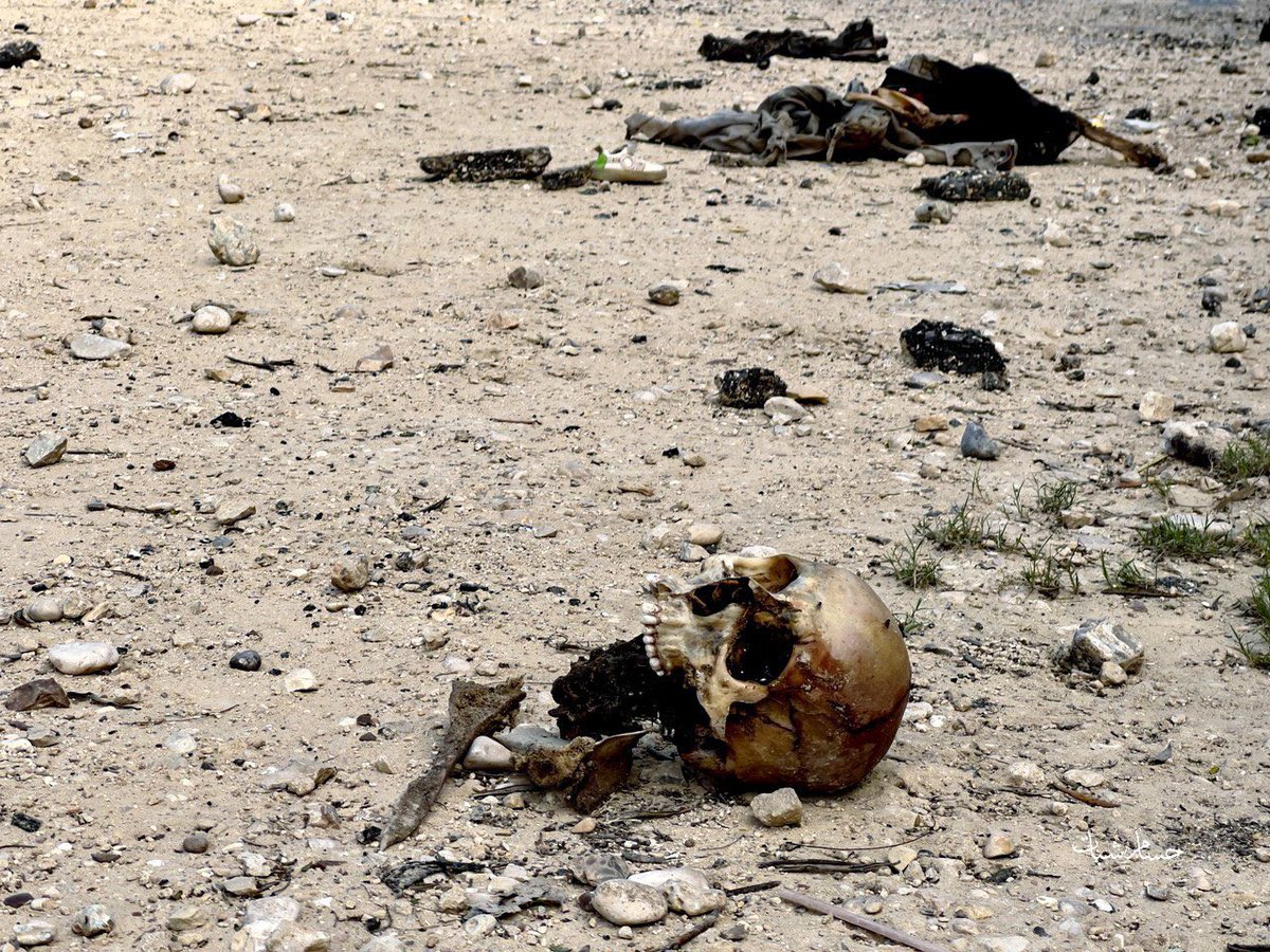 FalasAbuAmal's tweet photo. AHORA después de que los terroristas israelíes abandonaron Beit Hanoun, las personas de #Gaza descubrieron cuerpos descompuestos y cientos de cadaveres de niños, bebés y mujeres. #Israel continúa las ejecuciones masivas. https://t.co/FUjelHgknc