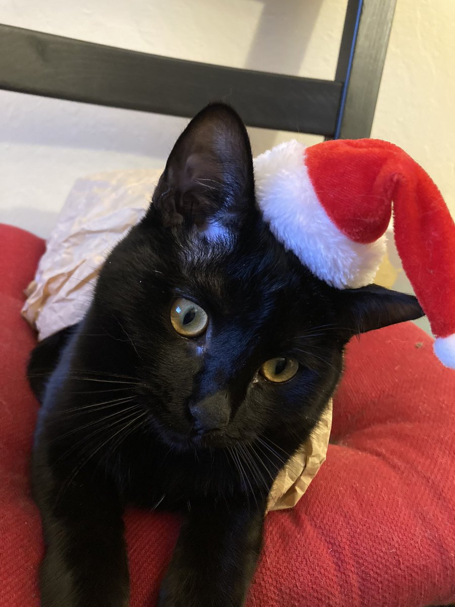 Market Minute tweet media