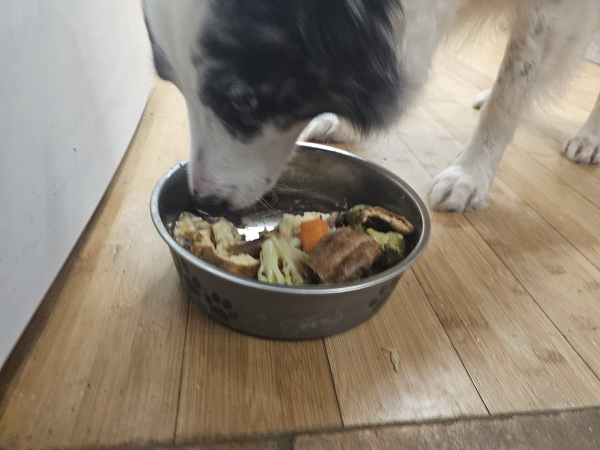 Jasper Collie 🏴󠁧󠁢󠁳󠁣󠁴󠁿 tweet media