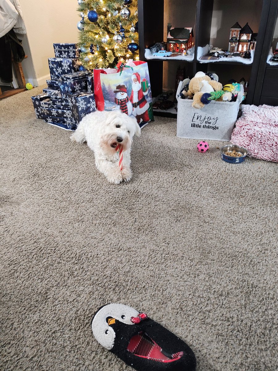 TheDarkAngel595's tweet photo. #MerryChristmas https://t.co/3fz6B6LNnD