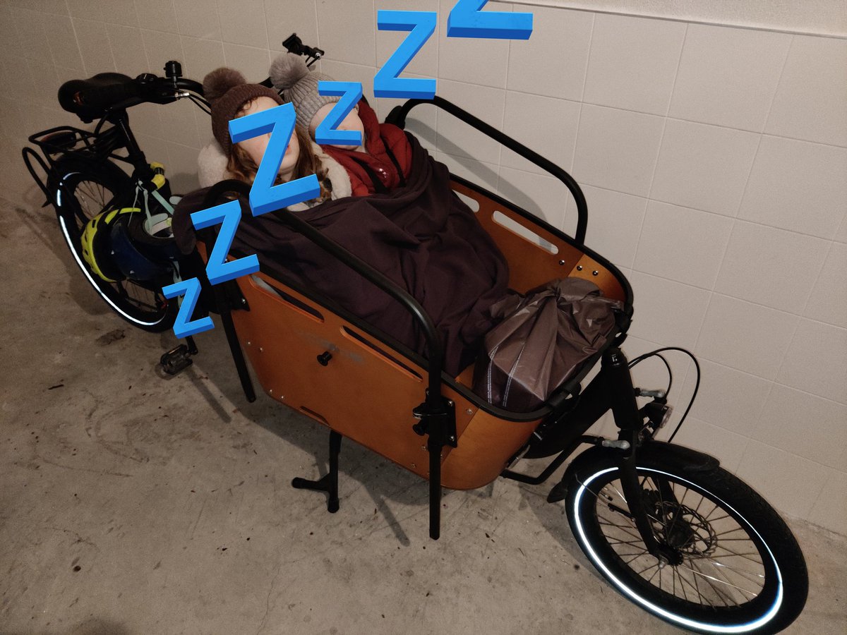 CargoBed 🚲💤