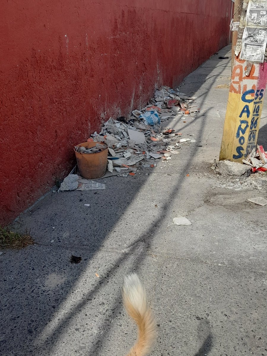 sweetadicc's tweet photo. Un deseo de navidad de todos los #ecatepences es contar con agua, calles sin baches , basura, y seguridad.
Estaría genial que los peques puedan llegar al deportivo de 5to sol y jugar sin oler perros muertos y basura. ¿Nos ayudan a que esto Pase? @Ecatepec @FerVilchisMx https://t.co/xfRMhF1paX