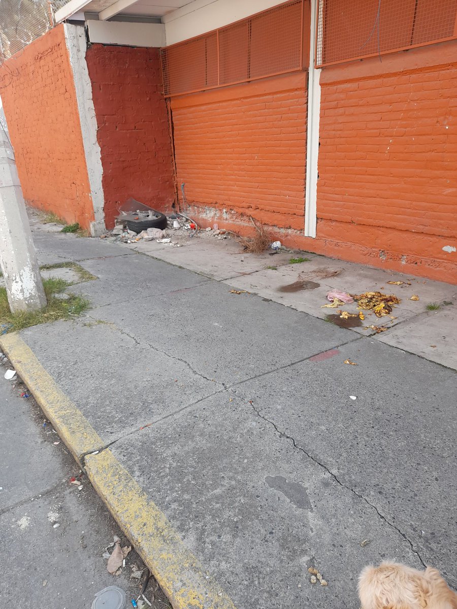 sweetadicc's tweet photo. Un deseo de navidad de todos los #ecatepences es contar con agua, calles sin baches , basura, y seguridad.
Estaría genial que los peques puedan llegar al deportivo de 5to sol y jugar sin oler perros muertos y basura. ¿Nos ayudan a que esto Pase? @Ecatepec @FerVilchisMx https://t.co/xfRMhF1paX