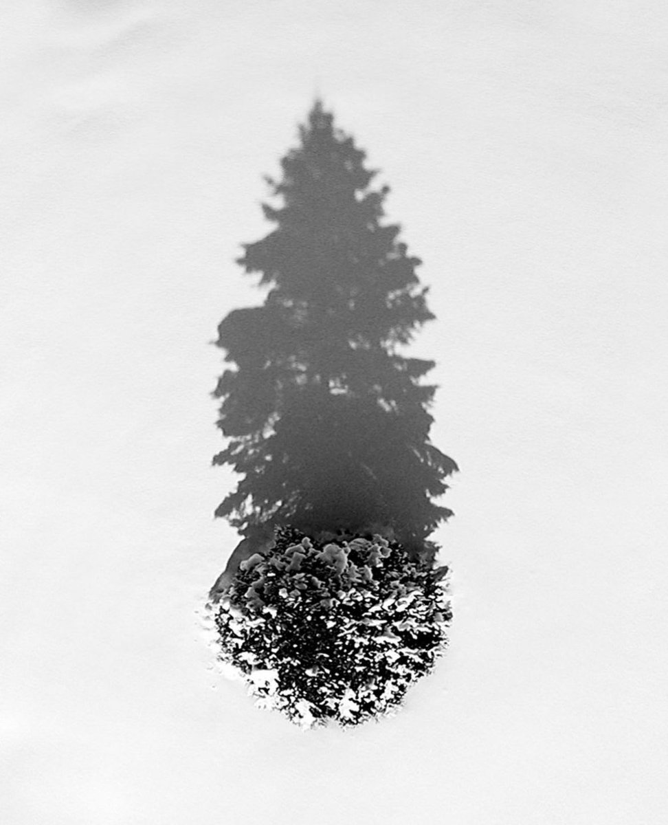 Ash O'Malley tweet media