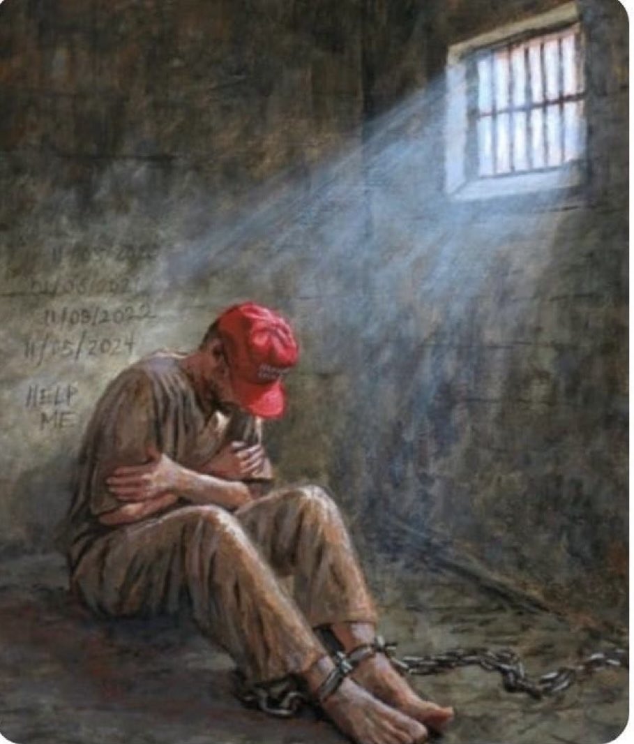 Dinesh D'Souza tweet media