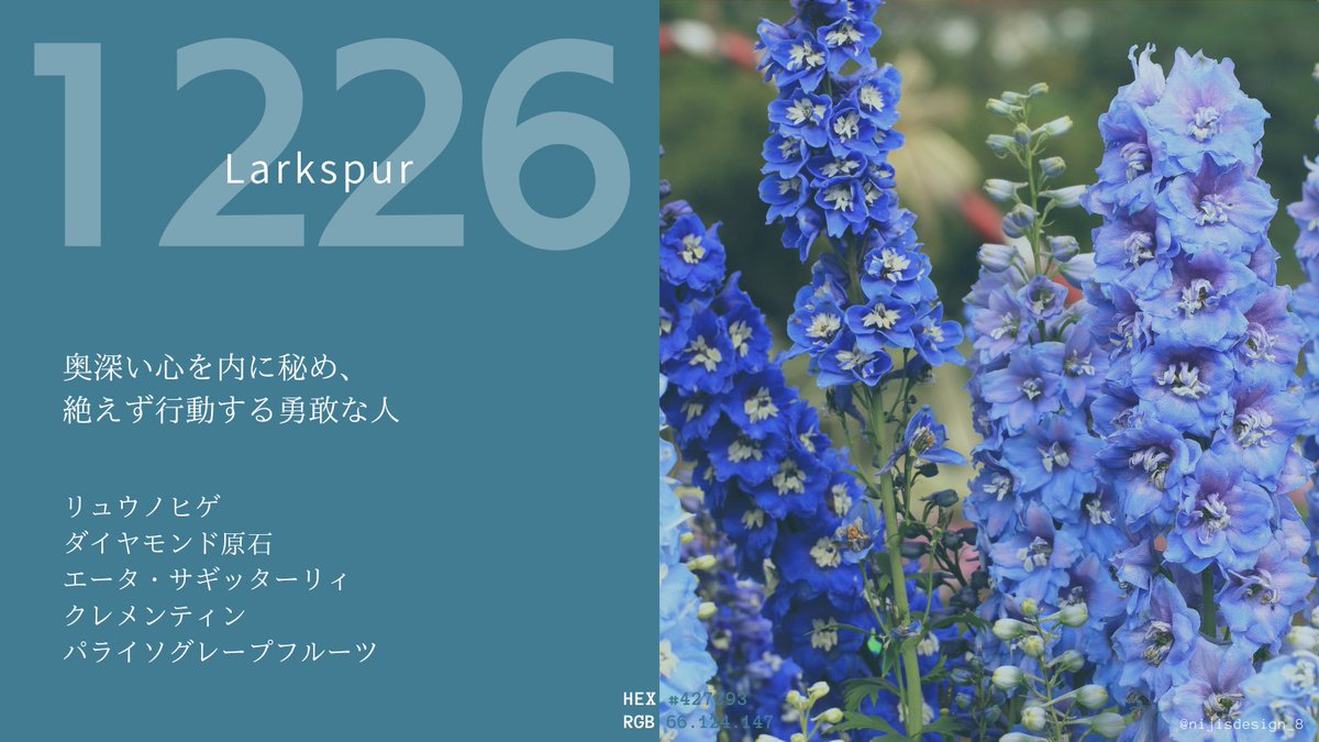 【バースデーカラー】今日ってどんな日？  

上から 
誕生花、誕生石、誕生星、誕生果、誕生酒  

素敵な一年になりますように…！