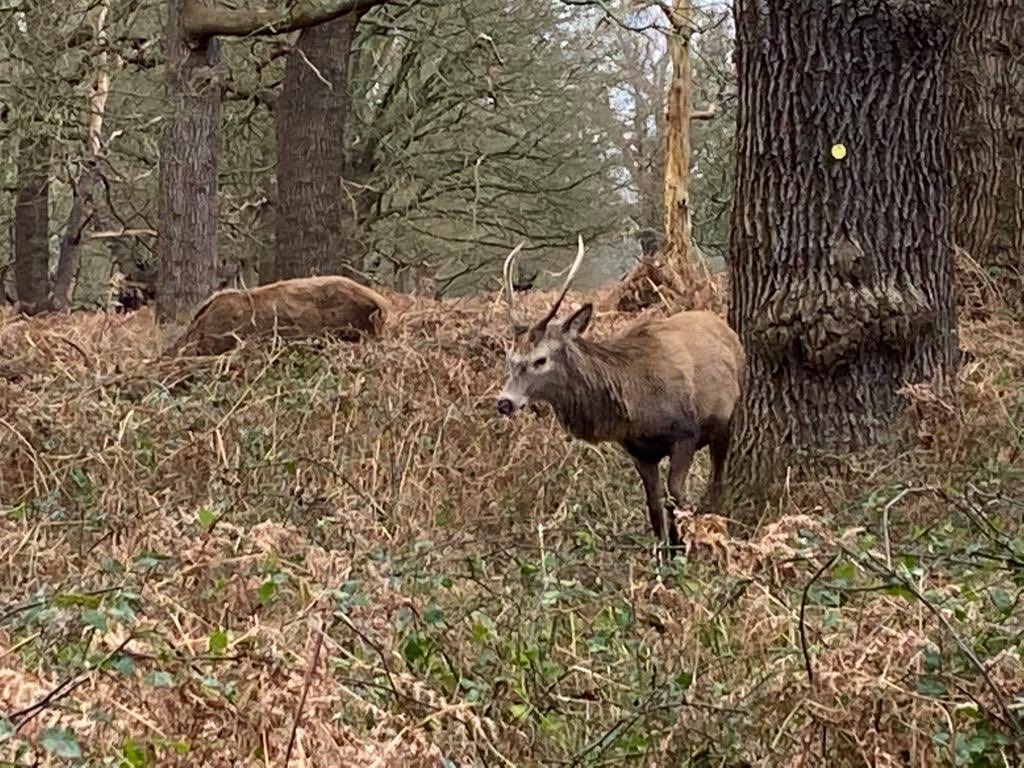 Imen Grida Ben Yahia tweet media