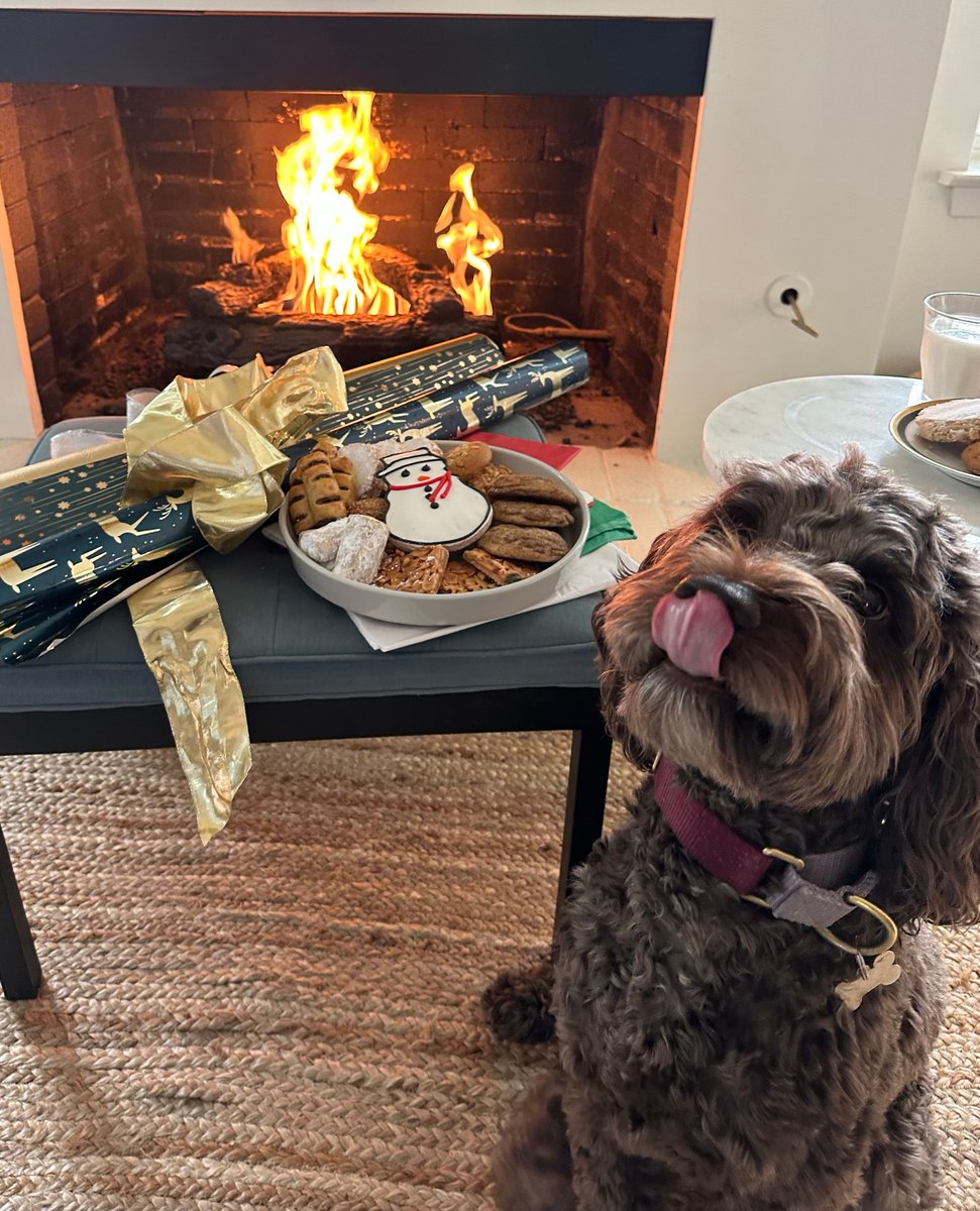 May your Christmas be furry and bright! 🐶🎄 Happy holidays from the SMN team.