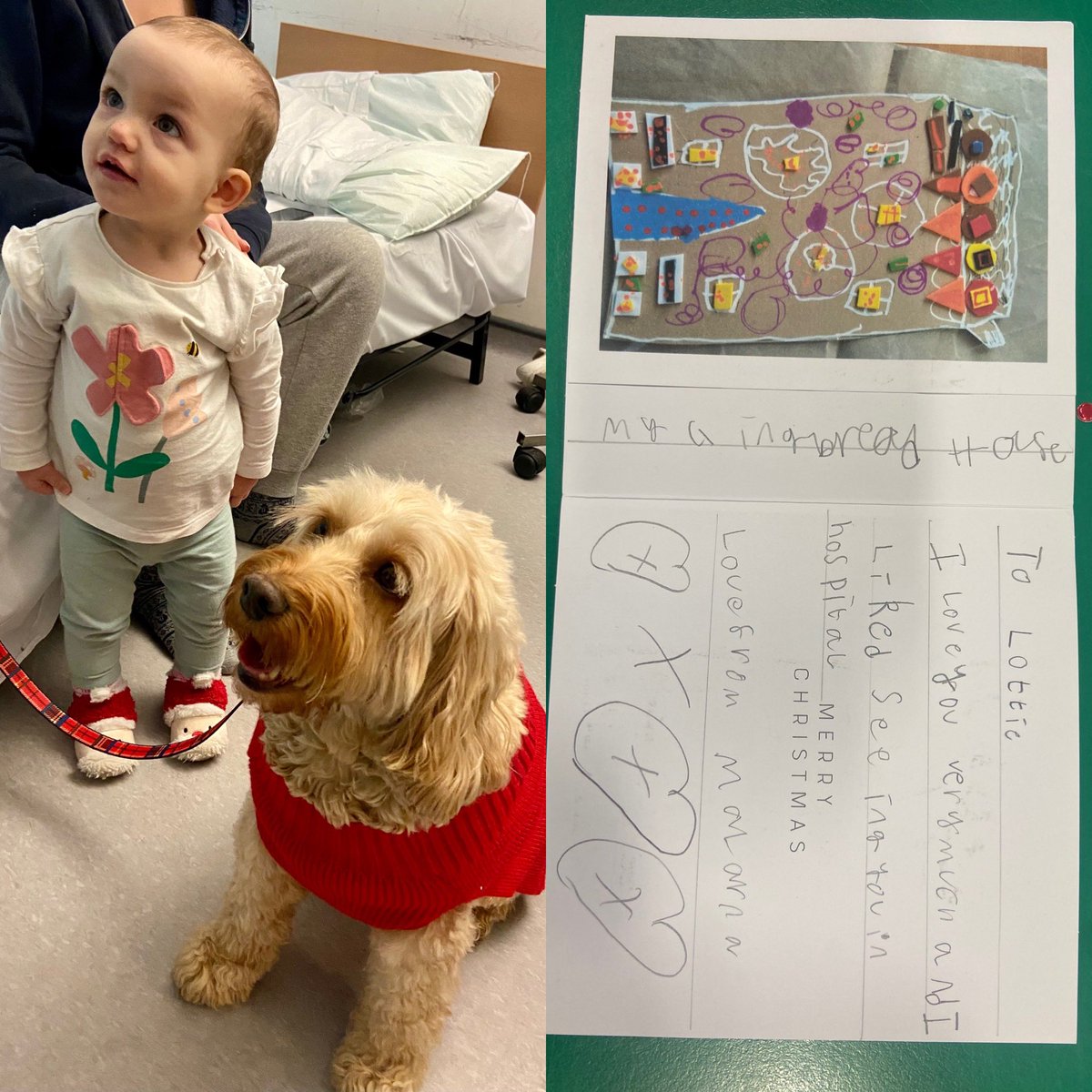 Wishing you all a very Merry Christmas… with love from Lottie-our Pets As Therapy Dog. Lottie was excited to receive a Christmas card from a previous patient on the ward!