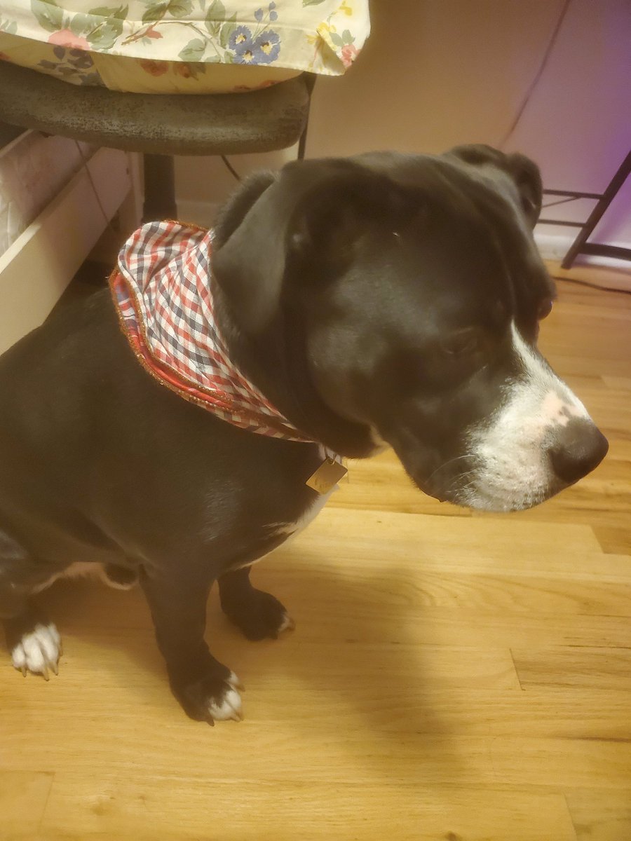 My boi got the chismas drip