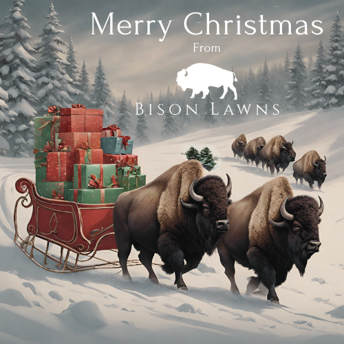 Merry Christmas from Bison Lawns!🦬

#lawncare #Christmas #MerryChristmas #olatheks #overlandparkks #lenexaks #shawneeks #prairievillageks #leawoodks