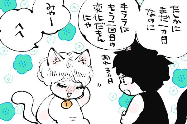 🐱キラキラにゃんこ生活
機嫌直った😸 