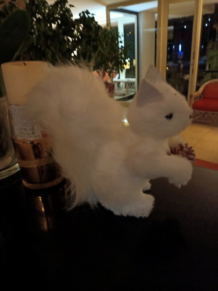 romero_andrs's tweet image. El que haya visto &quot;Los Caballeros de la mesa cuadrada&quot; sabrá que ahora mismo estoy acojonado con este conejito 🐇 #monthypython #caballerosdelamesacuadrada⚔️🤣🤣