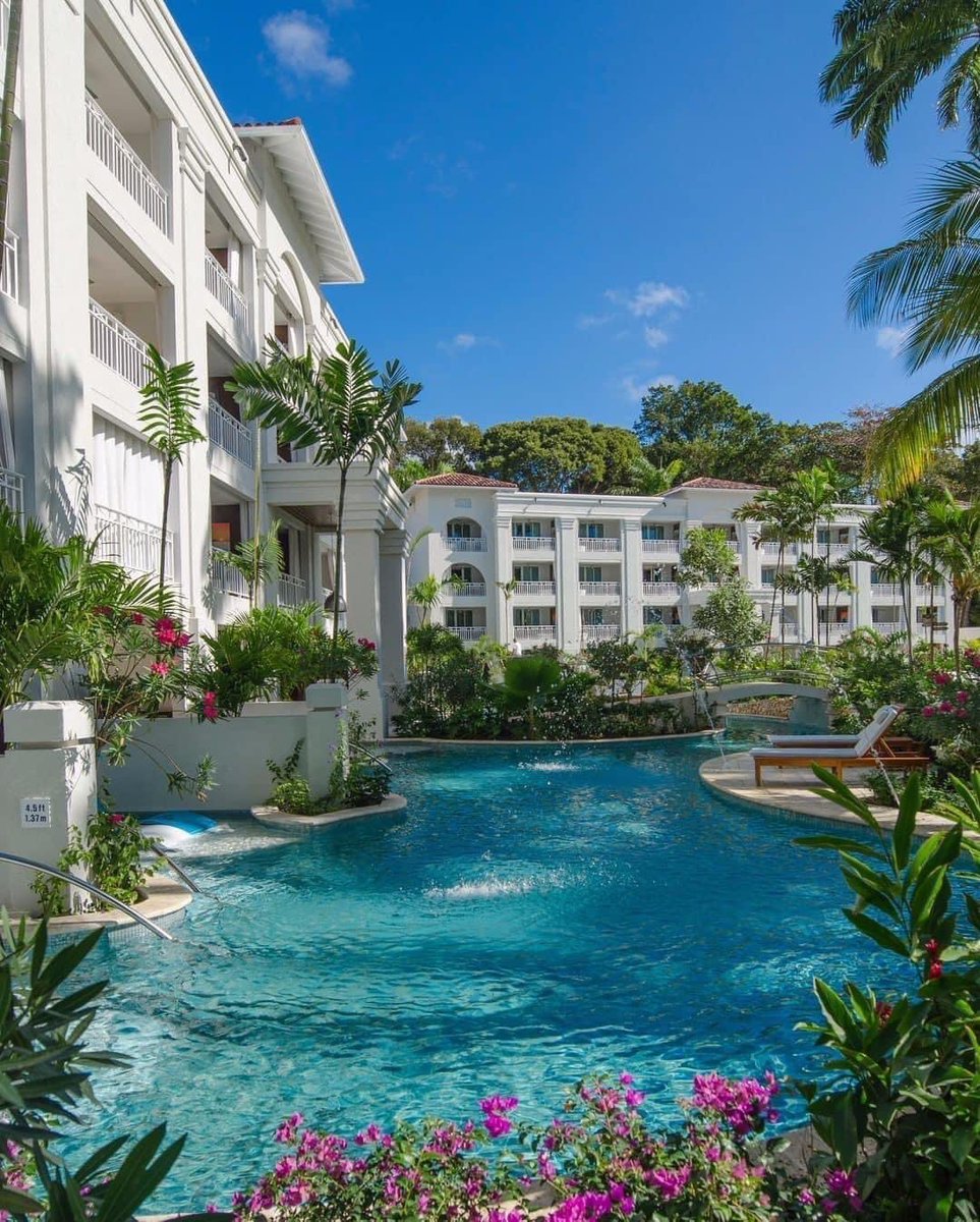 jamaalwvetose's tweet image. Manifesting Sandals Resort Montego Bay Jamaica with my person