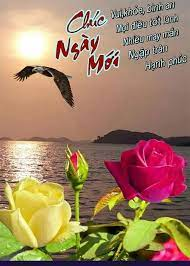 TriNguyen_88's tweet image. Mỗi buổi sáng là một khởi đầu mới, mong ước mới, hy vọng mới. Mỗi ngày đang tới là một ngày tuyệt vời cho mỗi chúng ta. Anh hãy nhận lời chúc📷📷📷 này cho một ngày hoàn hảo nhé! Good morning!
#PiNetworkUpdates #happy #successful #GMB