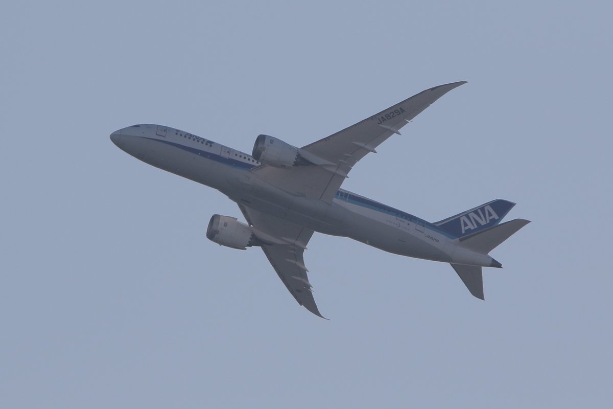 princessarete's tweet photo. #ANA
#JA829A
#NH751
#HND_KMQ https://t.co/8Qcme7Yzud