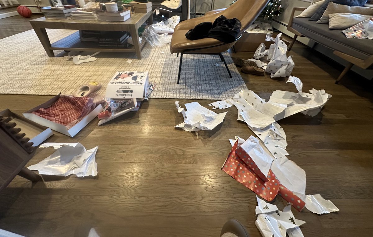 LegislatorGashi's tweet photo. Merry Christmas &amp; all, but clean up already. #GodBlessUsEveryone https://t.co/ODa0KLSYPV