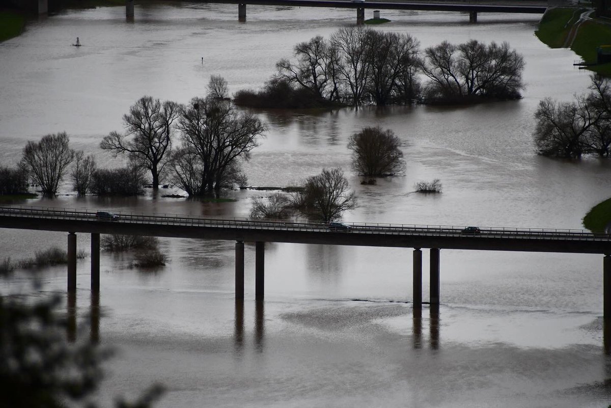 Ralph Eikenberg tweet media